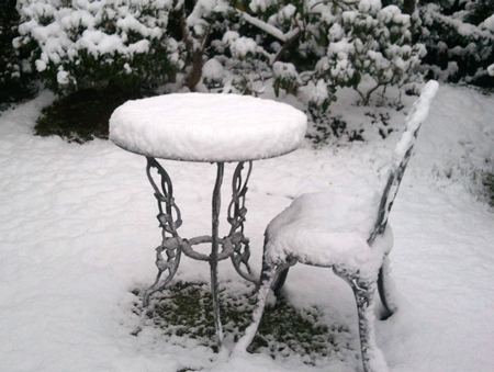 2015年1月の画像-アンバーデザイン