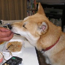 パクリッ・・