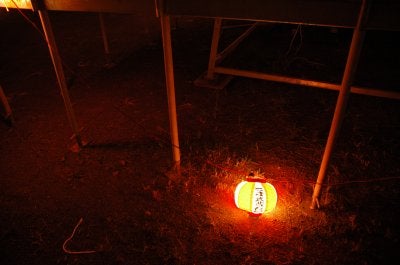 埼玉県日高市中の田公園、2006年8月5日