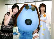 求む！！やなたま情報ｗ