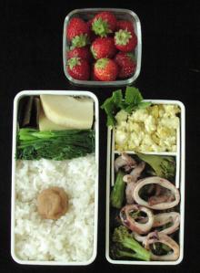 ブロッコリーとイカ炒め弁当
