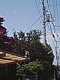 050621_1403~01.jpg