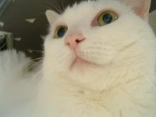 台風コワイねぇ