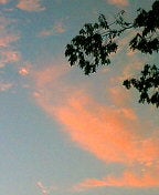 050816_1901~01.JPG