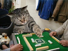 それ、ポンね☆