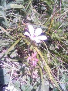 060905_1211~01.JPG