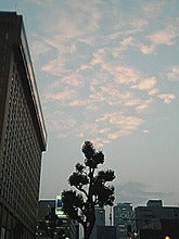 050523_1901~01.jpg