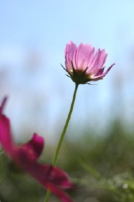 埼玉県飯能市、2006年9月24日