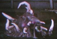 トリカミ～モルグタウン