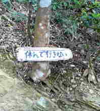 休んでいきない