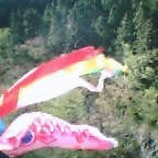 20050504_1548_001.jpg