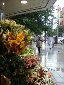 花屋