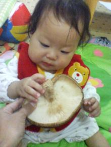 20061118171228.jpg