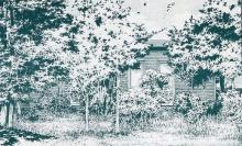 静養