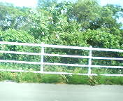 200506241458.jpg