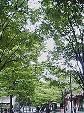 050418_1558~01.jpg