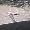 pic_0067.jpg