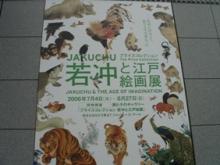 若沖