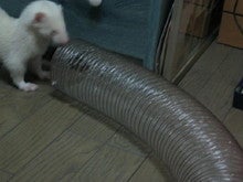 05may05 ③