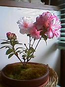 050501_1437001.jpg