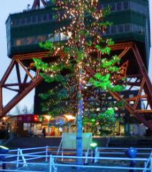 22NOV-31.JPG