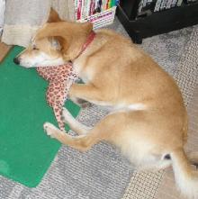 zzZZZ