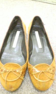 20061105130940.jpg