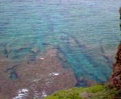 200505221100000.jpg