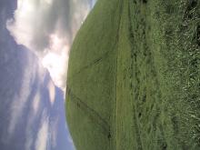 06-07-09_11-18.jpg