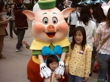 TDL