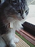 050402_1056~03.jpg