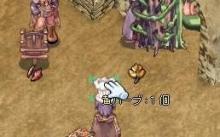 黄ﾊｰﾌﾞ