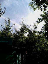 20050508081938.jpg