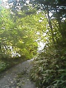 060919_1421~01.JPG
