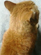 20050413135734.jpg