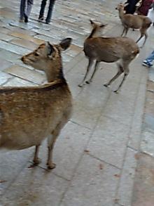 20061120115600.jpg
