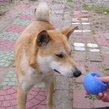 それ・・だれの?