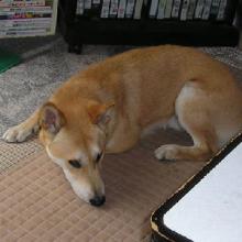 ごめん。。