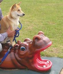 大きな口ダァ