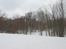 050407