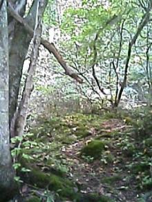 060919_1442~01.JPG