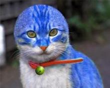 実写版のドラえもんか!?