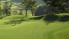 緑は目に優しい