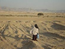 sinai