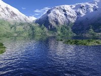 654