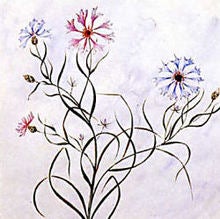 花デッサン