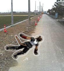 sisu