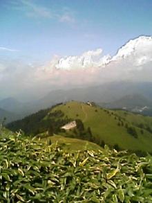 060905_1210~09.JPG