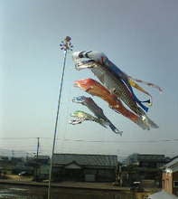 koinobori