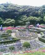 05-04-29_11-50.jpg